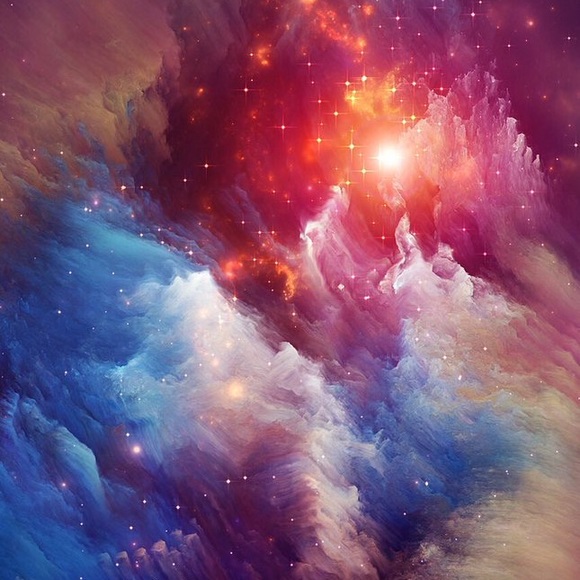 Meet your Posher, Oliver - Picture 1 of 1